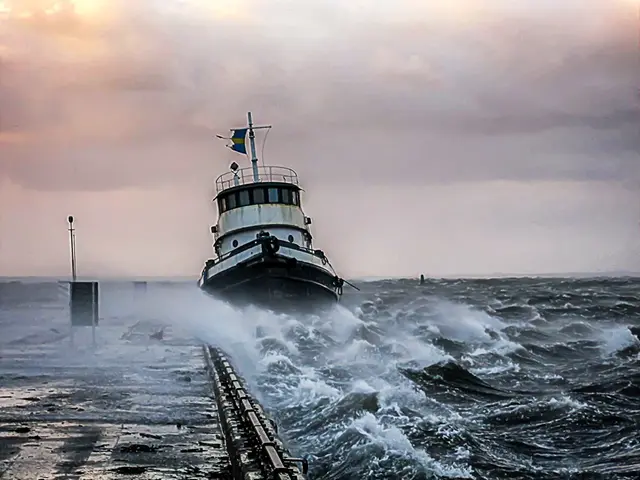 Stormar i Sverige: historien, namngivning och beredskap